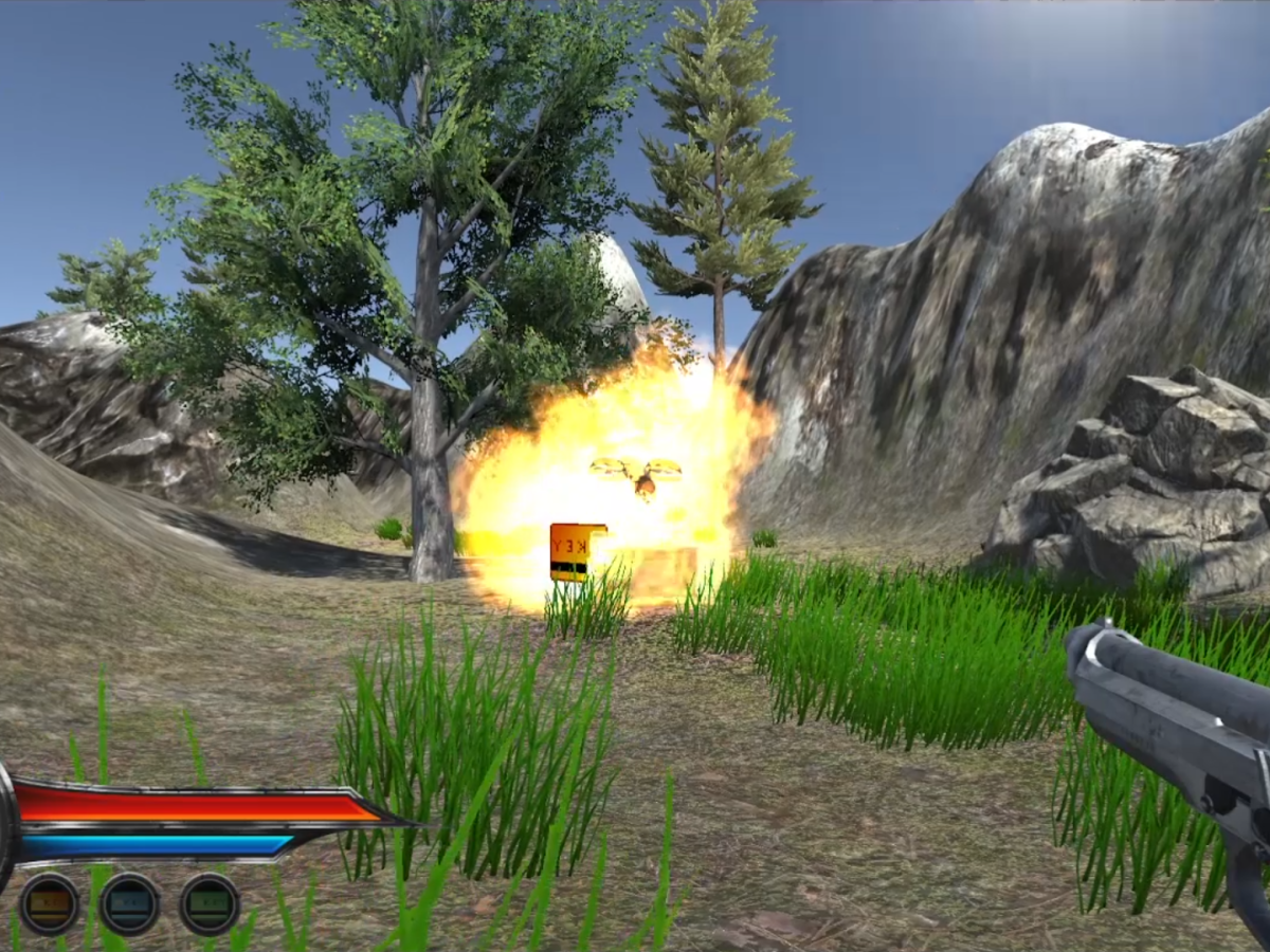 First person shooter